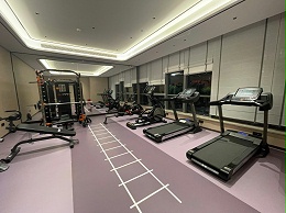 国内商用健身器材厂家有哪些？哪些品牌实力比较强、值得推荐？