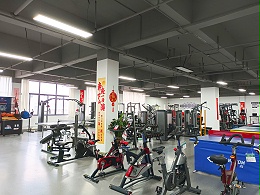 适合公司的职工健身房健身器材配置方案